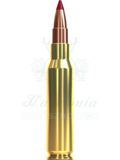 Sellier & Bellot .308W TXRGCE 10,7gr V343032 Golyós Lőszer
