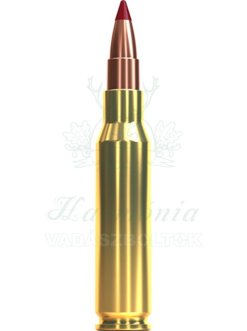 Sellier & Bellot .308W TXRGCE 10,7gr V343032 Golyós Lőszer