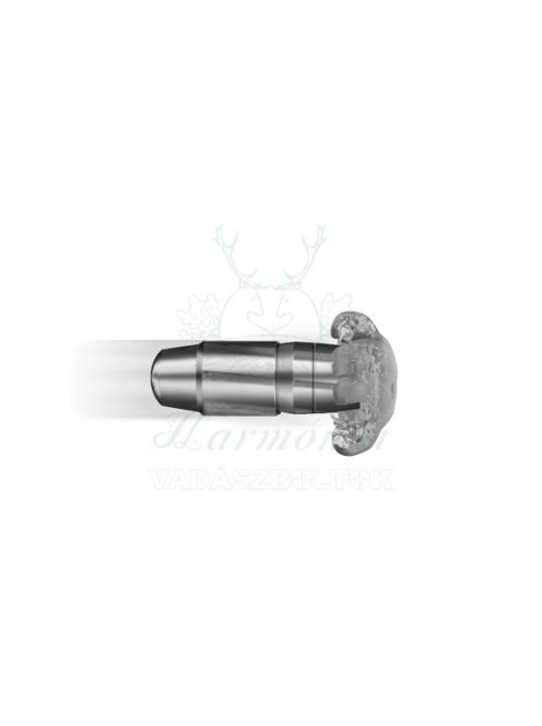 RWS .308W Speed Tip Pro Short Rifle 10,7g 2406616