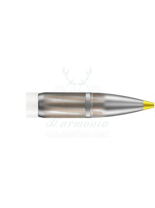 RWS 10,3x68 Mag. Evo Green 13,0g 2402919 Golyós Lőszer