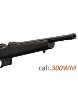 .300WM