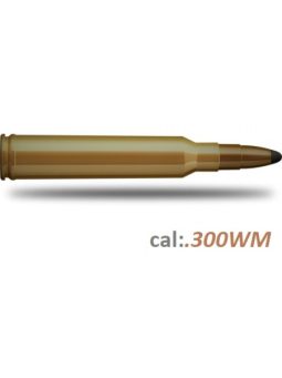 .300WM Lőszerek