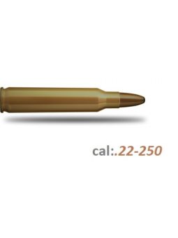 .22-250 Lőszerek