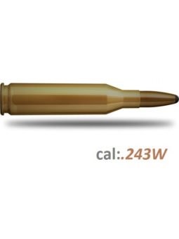 .243W Lőszerek