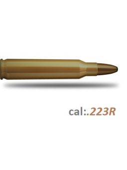 .223R Lőszerek