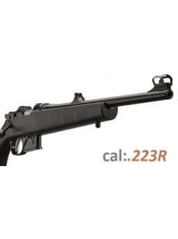 .223R